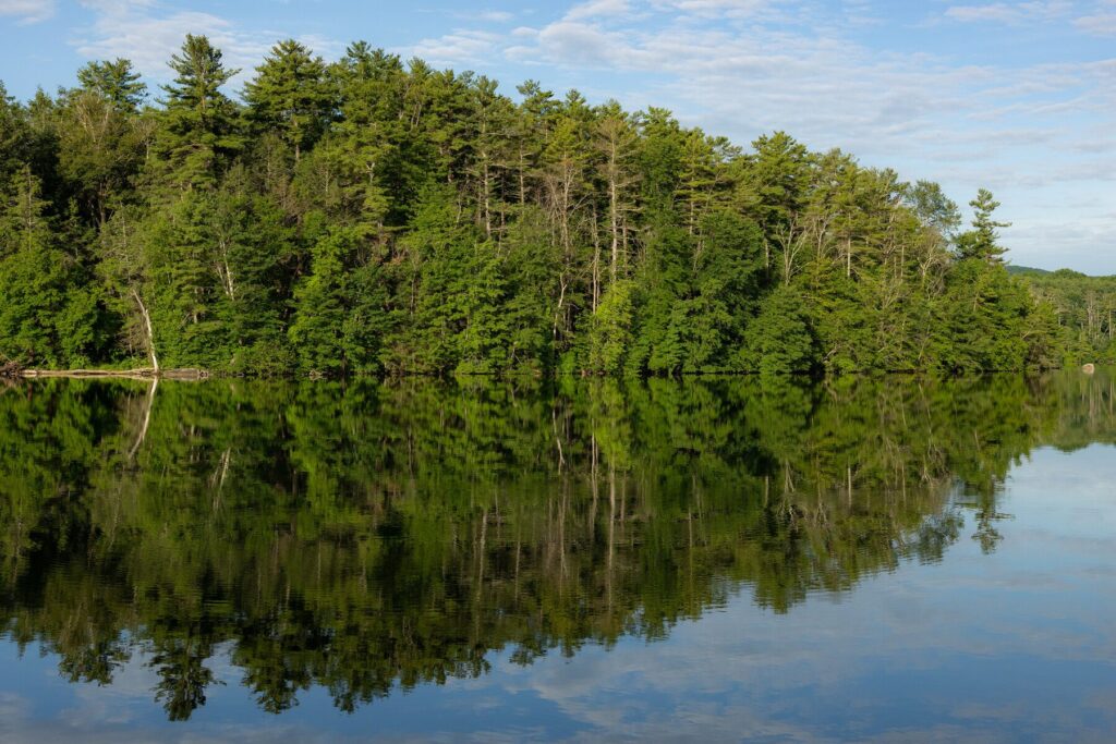 A calm lake framed by forested shoreline near Lee