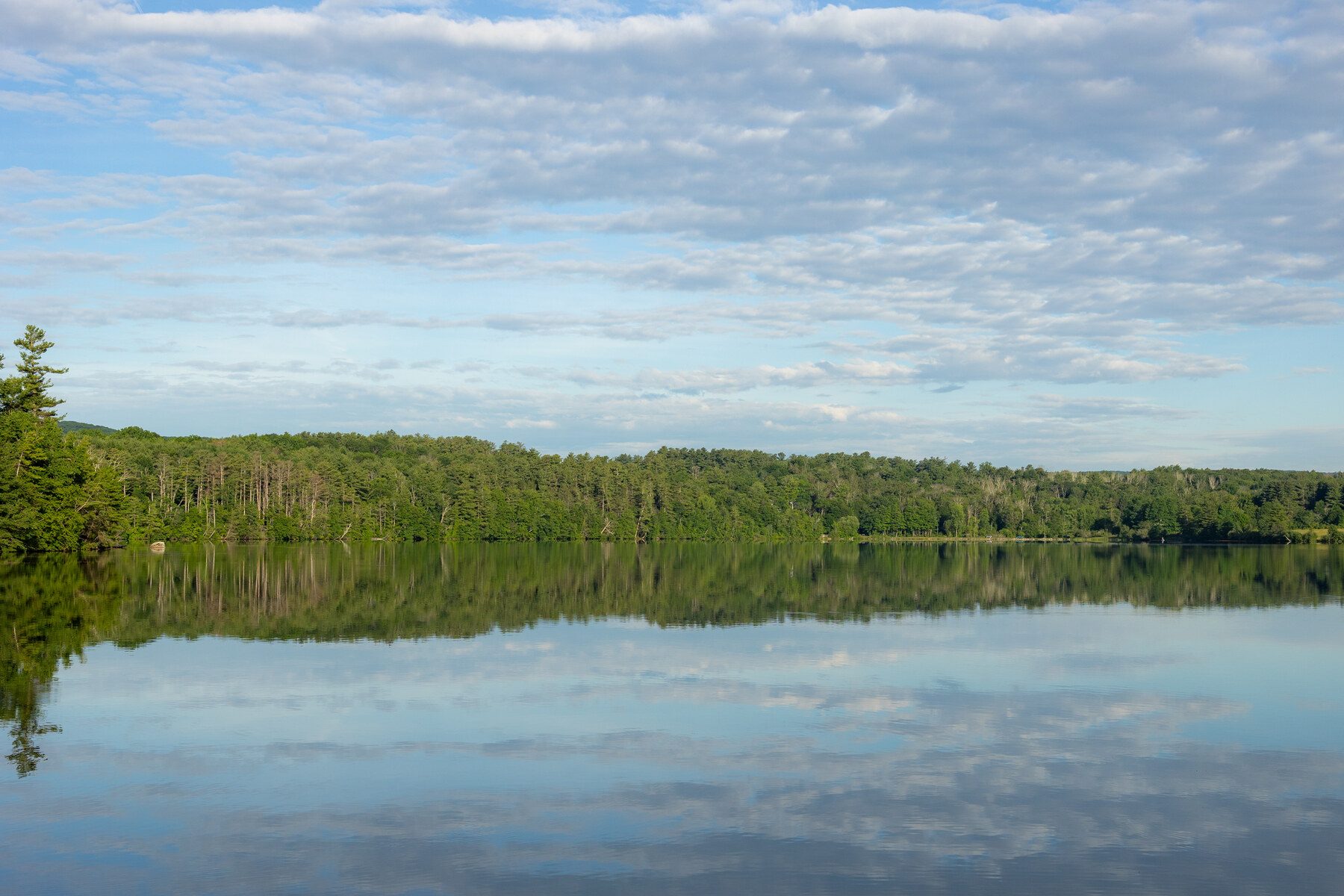 Still lake water reflecting the forested shoreline near Lee