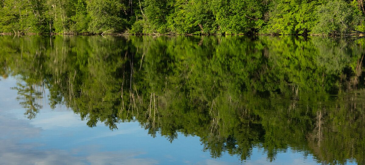 A tree-lined lake near Lee