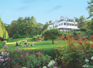 the mount
