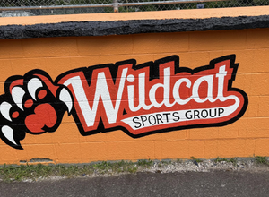 wildcat sports group