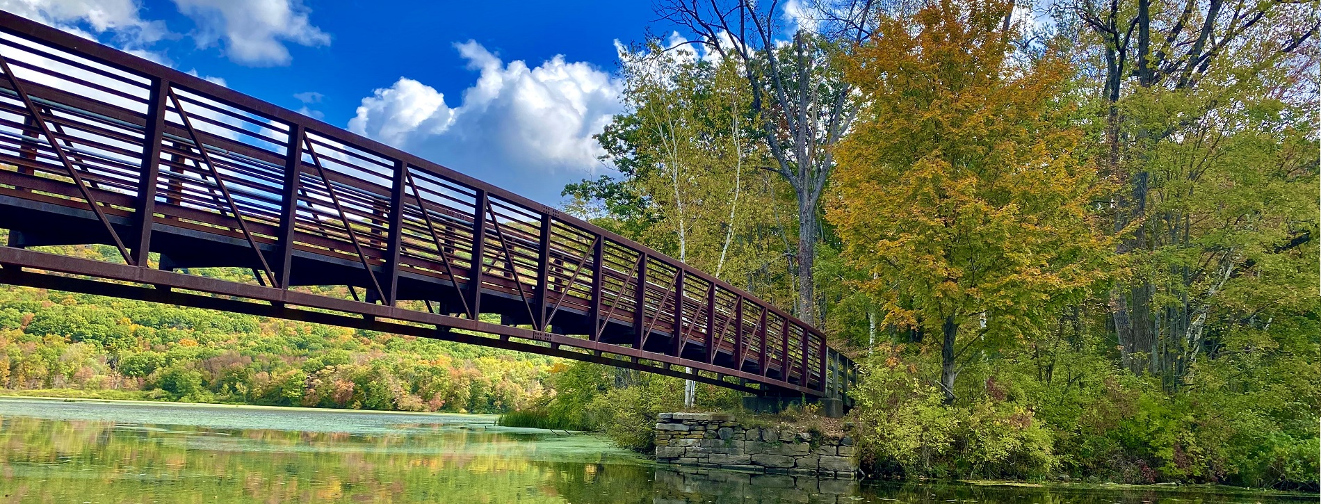 wood pond bridge banner