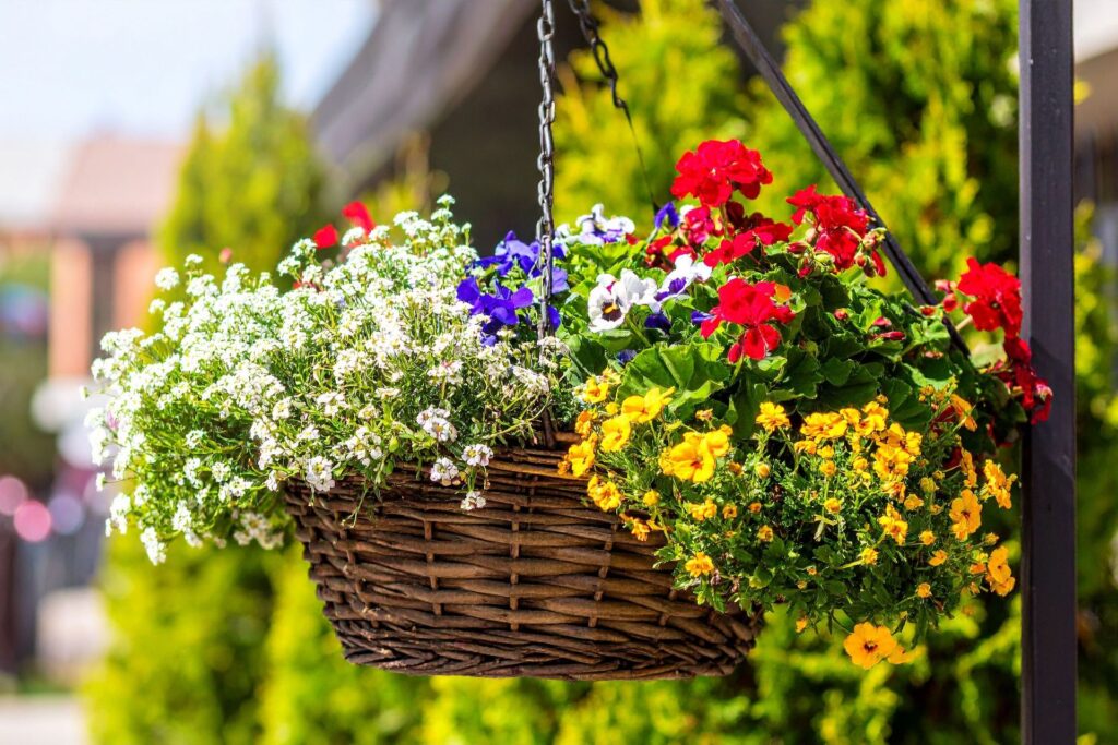 flower basket